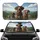 Five Curious Joyful Pointer Weimaraner Dogs Rolling Hills Landscape - Dog Lover Gift Car Sunshade - 1