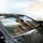 Five Curious Joyful Pointer Weimaraner Dogs Rolling Hills Landscape - Dog Lover Gift Car Sunshade - 6