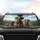 Five Curious Joyful Pointer Weimaraner Dogs Rolling Hills Landscape - Dog Lover Gift Car Sunshade - 4