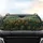 Dense Pine Evergreen Forest Canopy Autumn Rust Golden Foliage Nature Lover Gift Car Sunshade - 4