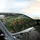 Dense Pine Evergreen Forest Canopy Autumn Rust Golden Foliage Nature Lover Gift Car Sunshade - 6