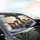 Joyful Meerkats Sunglasses Winter Snow - Wildlife Lover Gift Car Sunshade - 6