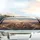 Cats Steering Wheel Sunglasses Adventure - Travel Essentials Gift Car Sunshade - 5