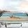 Tropical Beach Starfish Seashell Golden Sand Ocean Sky - Ocean Lover Home Decor Gift Car Sunshade - 5