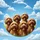 Five Goldendoodle Dogs Cumulus Clouds Natural Field - Dog Lover Gift Spare Tire Cover - 6