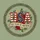 USA Flag Letters Roses Foliage - 250 Years of Freedom Patriotic Anniversary 1776-2026 Spare Tire Cover - 6