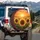 Large Healthy Sunflowers Field Sunset Sky Scene - Everyday Outdoor Decor Spare Tire Cover - 3