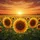 Large Healthy Sunflowers Field Sunset Sky Scene - Everyday Outdoor Decor Spare Tire Cover - 6