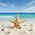 Starfish Seashell Ocean Beach Tropical Decor Gift for Beach Lover Spare Tire Cover - 6