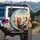Diverse Domestic Cats Steering Wheel Vehicle Interior Sky - Cat Lover Gift Spare Tire Cover - 3