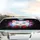 Charismatic White Cat Blue Eyes Red Bow Tie - Cat Lover Home Decor Gift Car Sunshade - 5