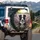 Border Collie Dog Lavender Field Flowers - Dog Lover Home Decor Gift Spare Tire Cover - 3