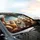 Joyful Maine Coon Cat Group - Wildlife Lover Travel Essentials Car Sunshade - 6