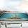 Seashell Starfish Seahorse Ocean Floor - Coastal Decor Gift for Beach Lover Car Sunshade - 5