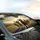 Cats with Sunglasses Joyful Journey - Everyday Driving Essentials Car Sunshade - 6