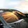 Anthropomorphic Cat Duo Aviator Sunglasses Desert Road - Adventure Journey Gift Car Sunshade - 6