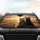 Anthropomorphic Cat Duo Aviator Sunglasses Desert Road - Adventure Journey Gift Car Sunshade - 4