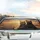 Anthropomorphic Cat Duo Aviator Sunglasses Desert Road - Adventure Journey Gift Car Sunshade - 5