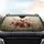 Elegant Butterfly Red Poppy Pink Blossom Wild Grass Pampas - Nature Lover Gift Car Sunshade - 4