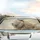 White Lion Head Golden Glowing Eyes Molten Gold - Wildlife Lover Gift Car Sunshade - 5
