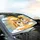 Laughing Tabby Cats Steering Wheel Sunglasses - Road Trip Joy Cat Lover Gift Car Sunshade - 6
