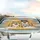 Laughing Tabby Cats Steering Wheel Sunglasses - Road Trip Joy Cat Lover Gift Car Sunshade - 5