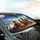 Tabby Cat Golden Retriever Dog Winter Mountain Road Trip - Pet Lover Travel Essentials Car Sunshade - 6