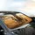 Roaring Lion Zebra Gazelle Fox Raccoon Savanna Group - Wildlife Lover Gift Car Sunshade - 6