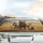 Roaring Lion Zebra Gazelle Fox Raccoon Savanna Group - Wildlife Lover Gift Car Sunshade - 5