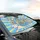 Skeletons Driving Car Interior Steering Wheel Cactus Clouds - Car Lover Home Decor Gift Car Sunshade - 6