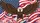 Bald Eagle American Flag - Independence Day Patriotic Home Decor Car Sunshade - 7