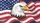 Bald Eagle American Flag - Wildlife Lover Independence Day Gift for Proud Americans Car Sunshade - 7