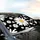 Large White Daisy Golden Yellow Center Floral Edge-to-Edge - Everyday Flower Decor Car Sunshade - 6