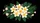 Plumeria Flowers Tropical Leaves - Beach Getaway Driving Gift Car Sunshade - 7