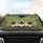 Excited Siamese Cats Sunglasses Foliage - Wildlife Lover Everyday Gift for Cat Owner Car Sunshade - 4