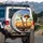 Expressive Giraffes Safari Adventure - Wildlife Lover Travel Decor Gift Spare Tire Cover - 3
