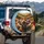 Cows Driving Car Steering Wheel Autumn Landscape - Farmhouse Decor Cow Lover Gift Spare Tire Cover - 3