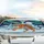 Siberian Tiger Roaring Frosted Mountain Pine Ice Moon Aurora - Wildlife Lover Gift Car Sunshade - 5