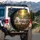 Wolf Husky Cat Animals Sun-Drenched Forest Luxurious Interior - Car Decor Gift Spare Tire Cover - 3