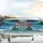 Wolf Family Santa Hats Northern Lights Winter - Holiday Gift for Wildlife Lovers Car Sunshade - 5