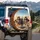Skeletons Sunglasses Convertible - Desert Road Trip Travel Gift Spare Tire Cover - 3