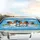 Papillon Dogs Driving Wind Streaks - Road Trip Lifestyle Gift for Dog Owners Car Sunshade - 5