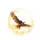Golden Eagle Flight Energy Bursts Light Trails - Wildlife Lover Gift Outdoor Adventure Accessory Spare Tire Cover - 4