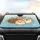 Fluffy Surprised Cats Wide-Eyed Faces Sky Blue Clouds - Everyday Travel Cat Lover Gift Car Sunshade - 4