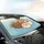 Fluffy Surprised Cats Wide-Eyed Faces Sky Blue Clouds - Everyday Travel Cat Lover Gift Car Sunshade - 6
