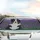 Majestic Black White Border Collie Dog with Purple Lavender - Dog Lover Farmhouse Gift Car Sunshade - 5