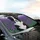 Majestic Black White Border Collie Dog with Purple Lavender - Dog Lover Farmhouse Gift Car Sunshade - 6