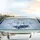 Crystalline White Tiger Golden Eye Ice Formations - Wildlife Lover Gift Car Sunshade - 5