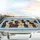 Labrador Dogs Paw Prints & Bones - Dog Lover Lifestyle Gift for Canine Companions Car Sunshade - 5