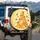 Plump Bees Honey Jar Honeycomb Daisies - Bee Lover Gift Spare Tire Cover - 3